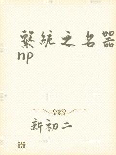 系统之名器攻略np