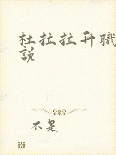 杜拉拉升职记小说封面