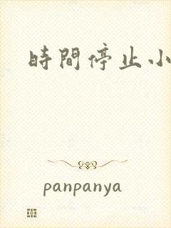 时间停止小说