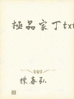 极品家丁txt