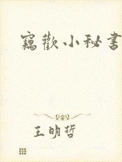窃欢小秘书
