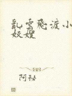 乱云飞渡小说之姣嫂