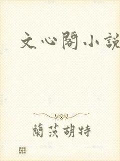 文心阁小说