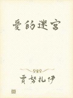 爱的迷宫