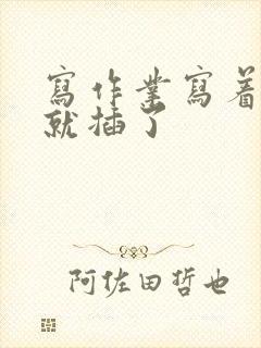 写作业写着写着就插了