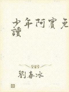 少年阿宾免费阅读