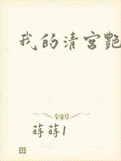 我的清宫艳史