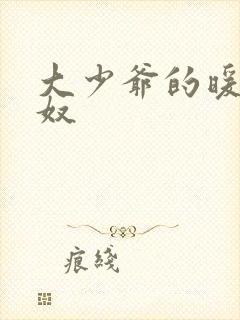 大少爷的暖床小奴