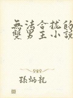 无法合拢的总裁双男主小说