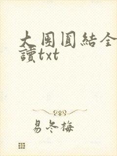大团圆结全文阅读txt