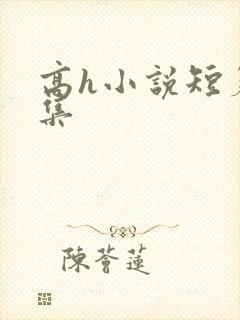 高h小说短篇合集
