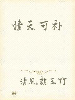 情天可补