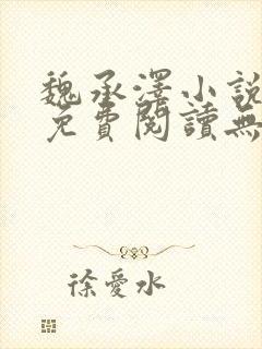 魏承泽小说全文免费阅读无弹窗笔趣