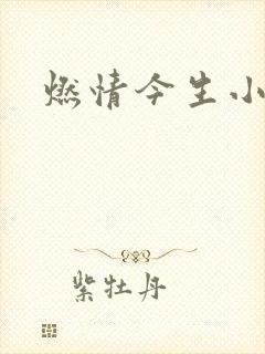 燃情今生小说