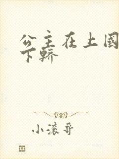 公主在上国师请下轿