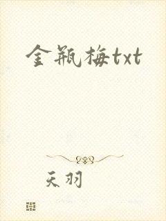金瓶梅txt
