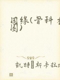 因缘(骨科 校园)