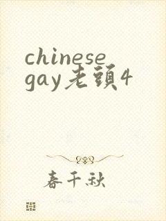 chinesegay老头4