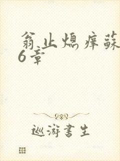 翁止熄痒苏玥第6章