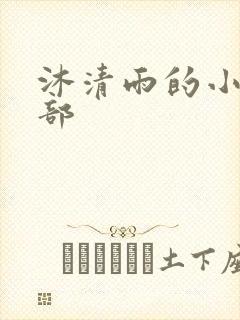沐清雨的小说全部