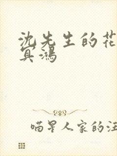 沈先生的花式调冥鸿