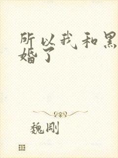 所以我和黑粉结婚了