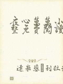 夜心万万小说完整免费阅读全文