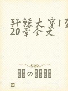 轩辕大宝1至720章全文