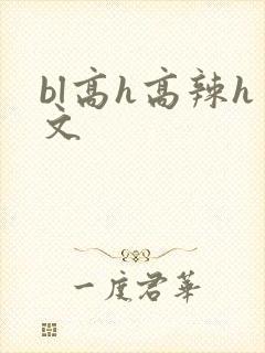 bl高h高辣h文