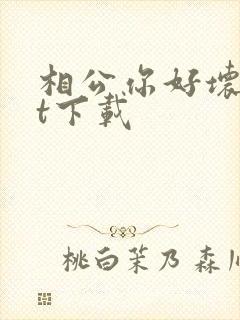 相公你好坏txt下载