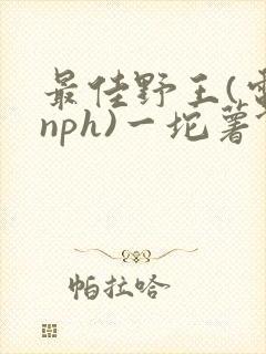 最佳野王(电竞nph)一坨薯饼