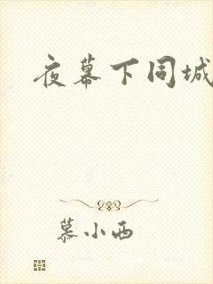 夜幕下同城网