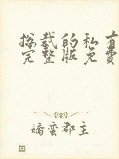 总裁的私有宝贝完整版免费阅读