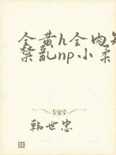 全黄h全肉短篇禁乱np小柔