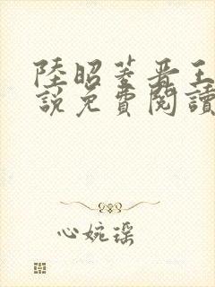 陆昭菱晋王的小说免费阅读