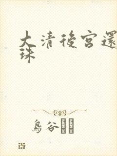 大清后宫还君明珠