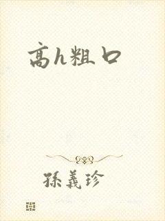 高h粗口