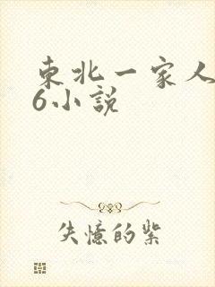 东北一家人1一6小说