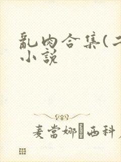 乱肉合集(二)小说