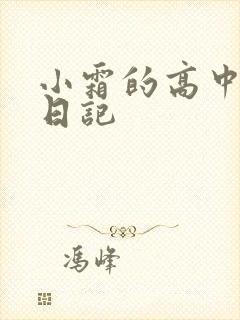 小霜的高中成长日记