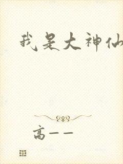 我是大神仙小说