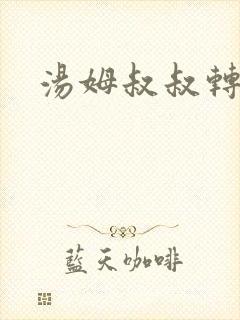 汤姆叔叔转接口