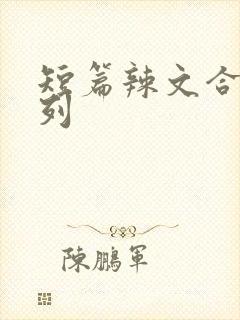 短篇辣文合集系列