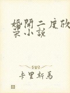 婚开二度欣欣向荣小说