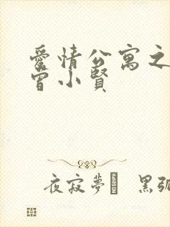 爱情公寓之极品曾小贤