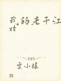 我的老千江湖txt