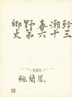 乡野春潮干柴烈火第六十三章