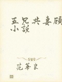 五兄共妻顾心儿小说