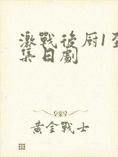 激战后厨1至5集日剧