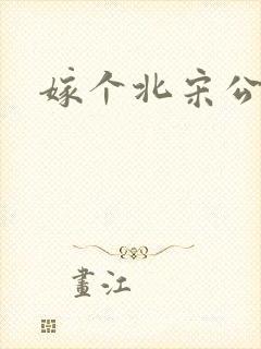 嫁个北宋公务员